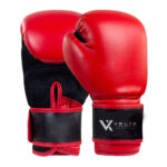 Kick Boxing Gloves - Image 2