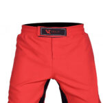MMA Shorts - Image 2