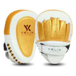 Boxing Focus Pads