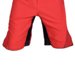 MMA Shorts - Image 2