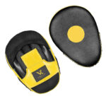 Muay Thai Focus Pads - Image 2